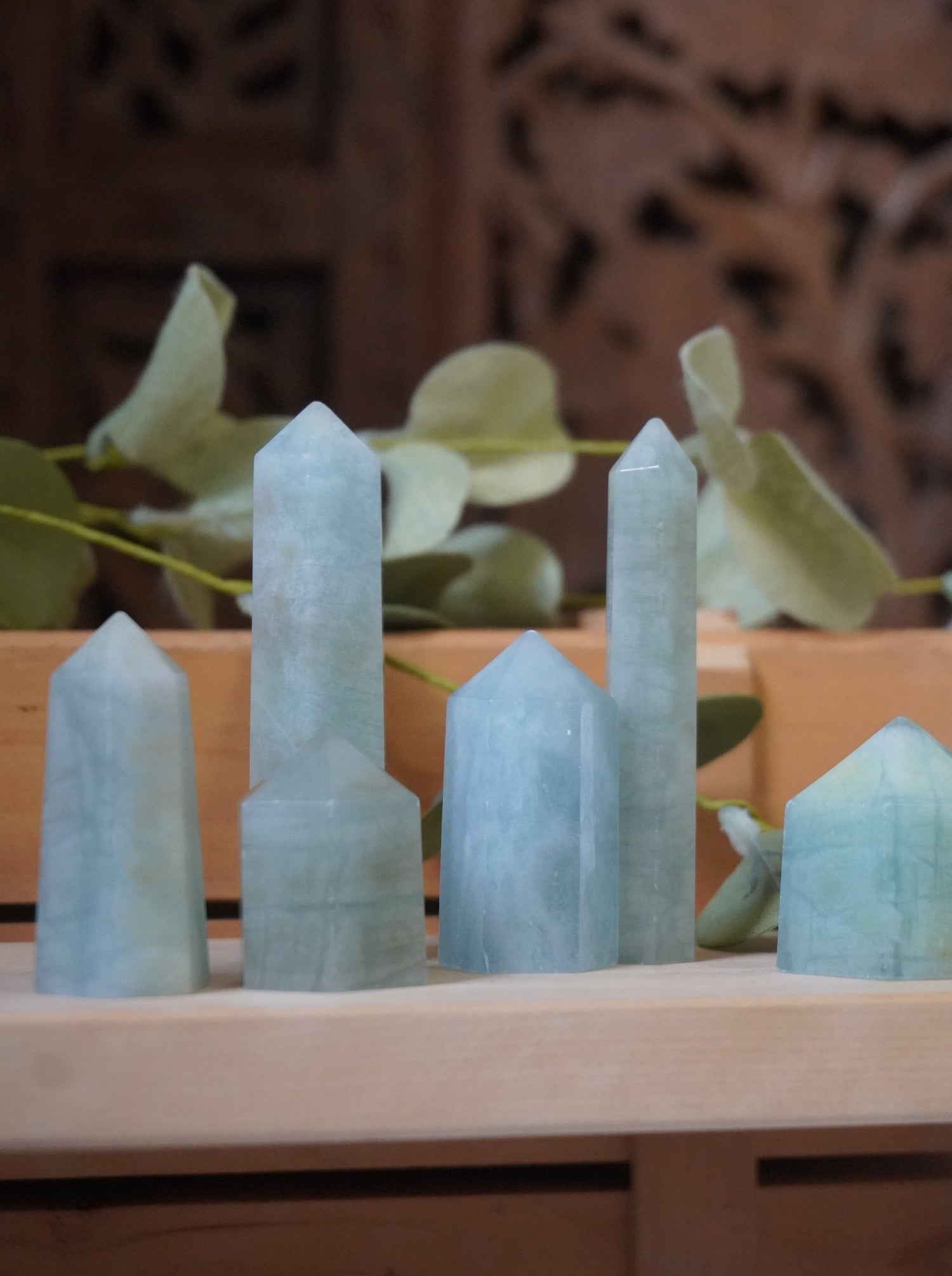 Communication & Expression