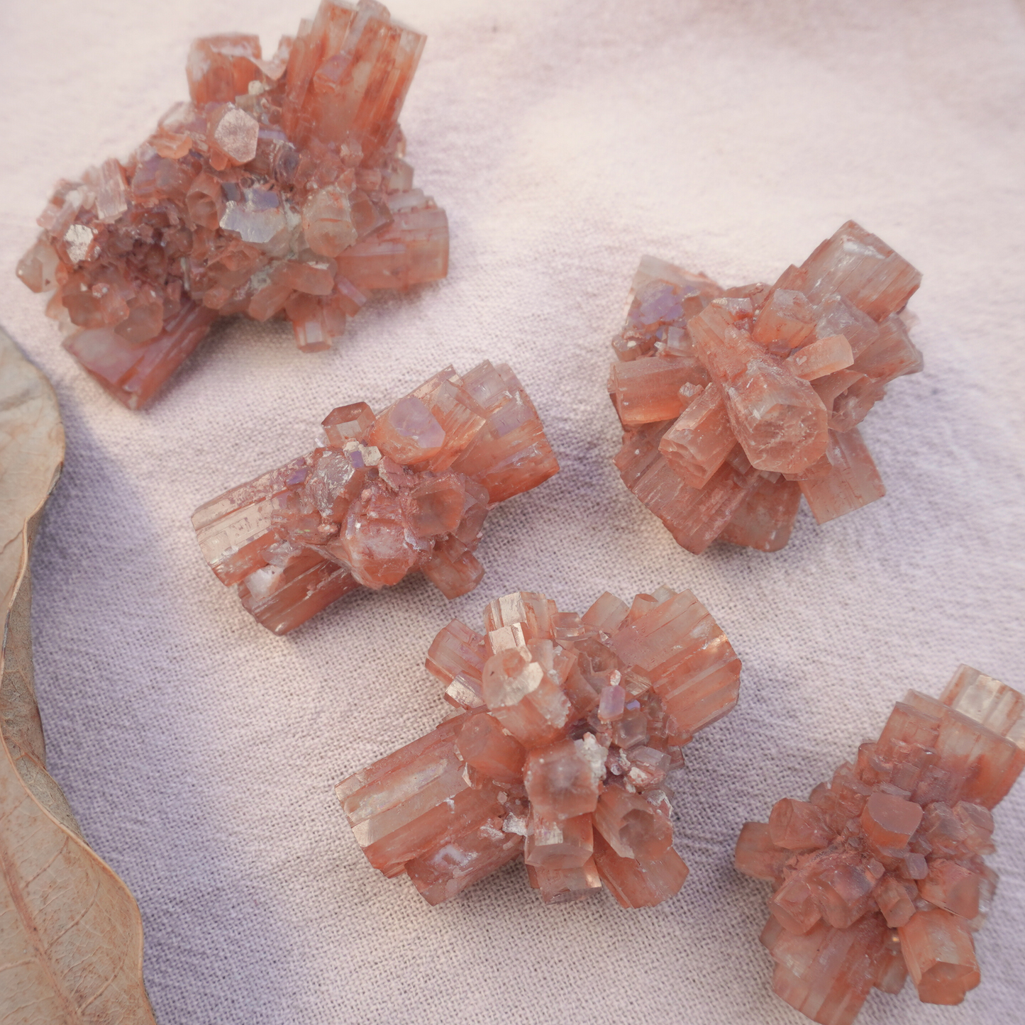 Five Raw Aragonite Crystal Clusters on a neutral fabric background, perfect for grounding, chakra alignment, and meditation.