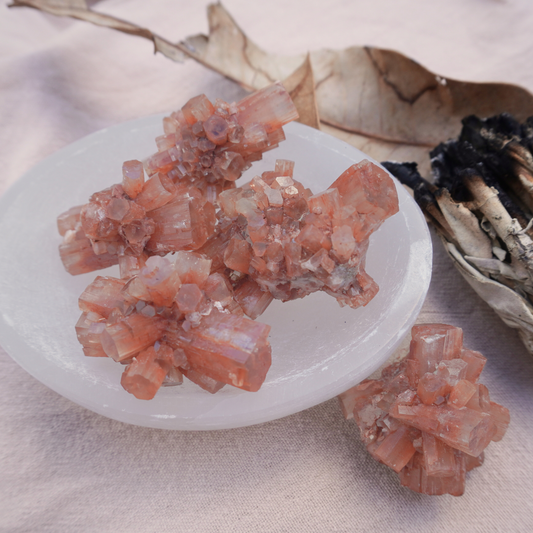 Aragonite Healing Crystals placed in a white selenite bowl with dried sage, symbolizing spiritual cleansing and energy balancing.