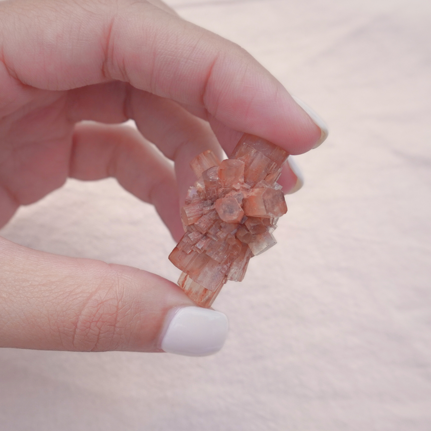 Close-up of a hand holding a Raw Aragonite Crystal, showing the intricate natural structure and high-energy properties.