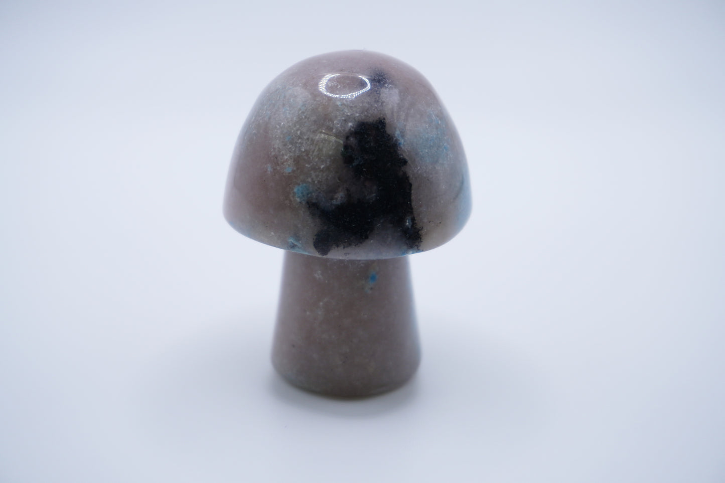 Trolleite Mushroom for Third Eye Activation