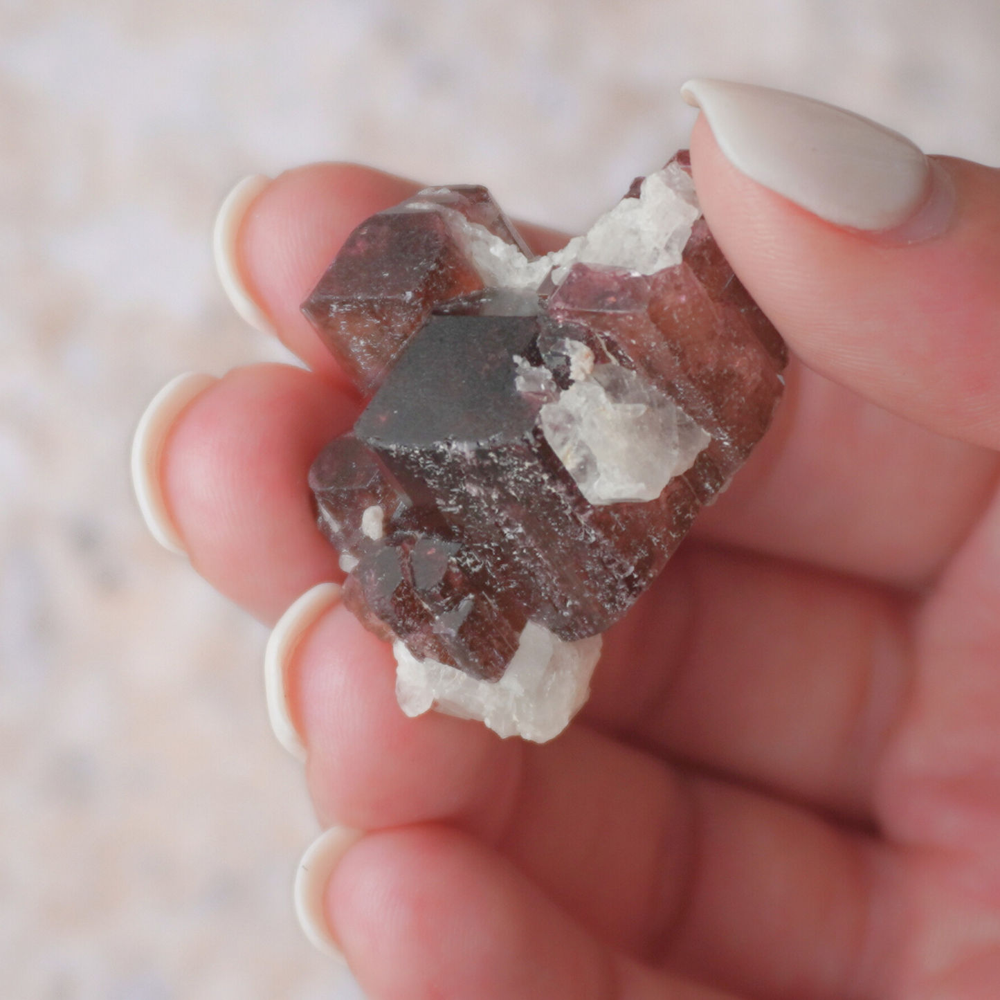 Handheld Liddicoatite Tourmaline with deep red hues, perfect for intuition, energy clearing, and enlightenmen