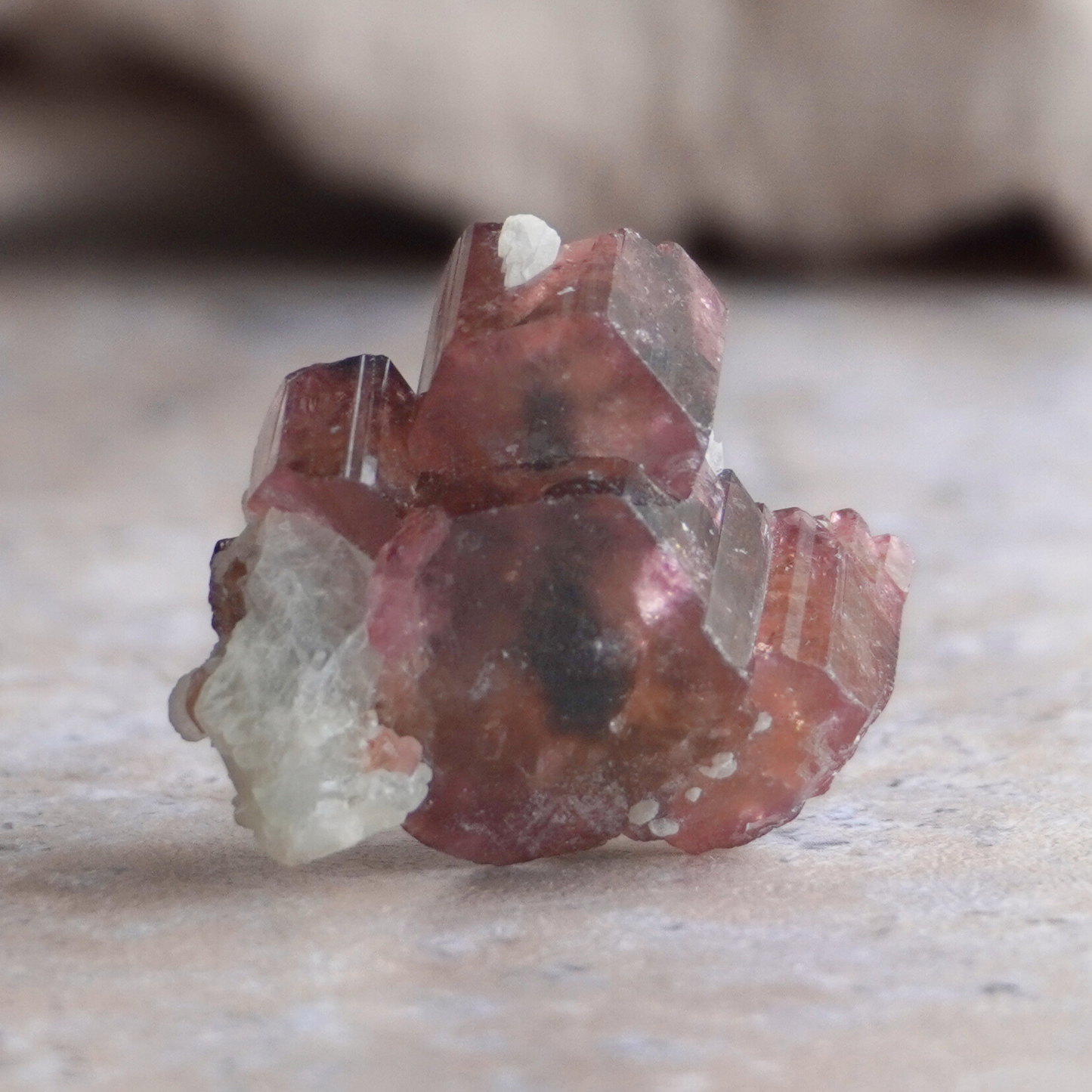 Hand holding a Liddicoatite Tourmaline crystal, known for amplifying spiritual insight and psychic abilities.