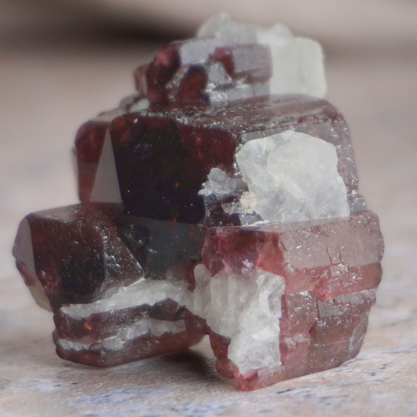 A stunning raw Liddicoatite Tourmaline cluster, perfect for meditation and deepening spiritual awareness.
