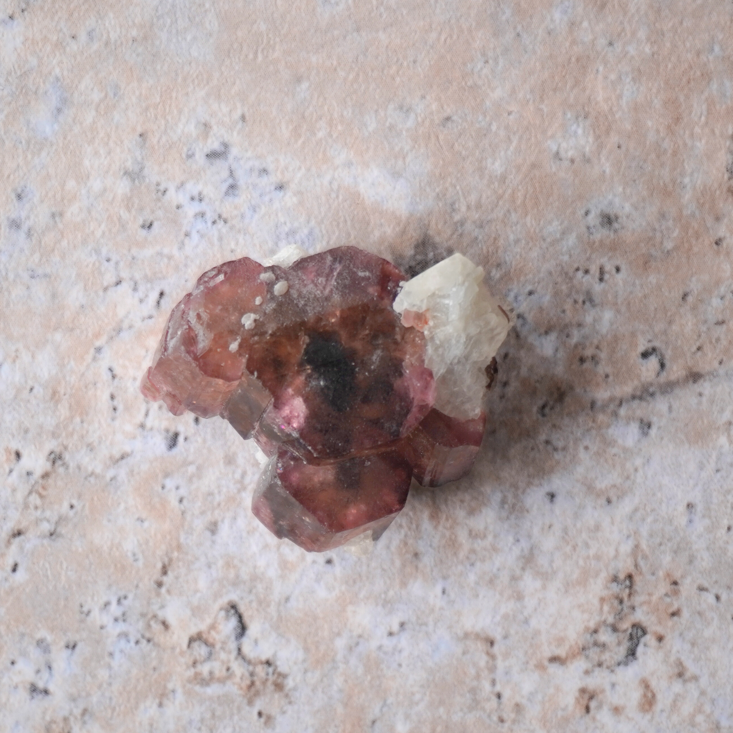 Liddicoatite Tourmaline with white quartz inclusions, aiding in energetic balance and alignment.