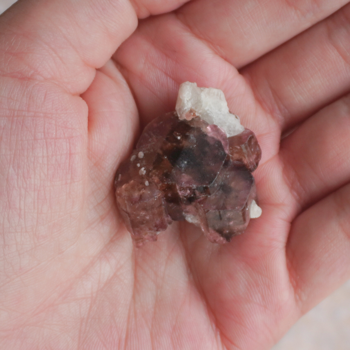 Overhead view of a Liddicoatite Tourmaline specimen, radiating high vibrational energy for spiritual awakening.