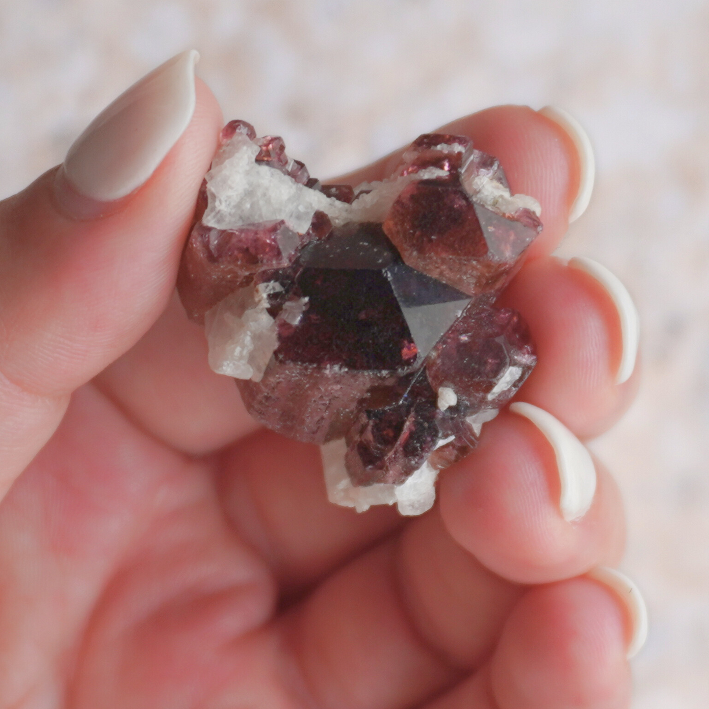 A beautifully structured Liddicoatite Tourmaline crystal in hand, enhancing meditation and inner wisdom.