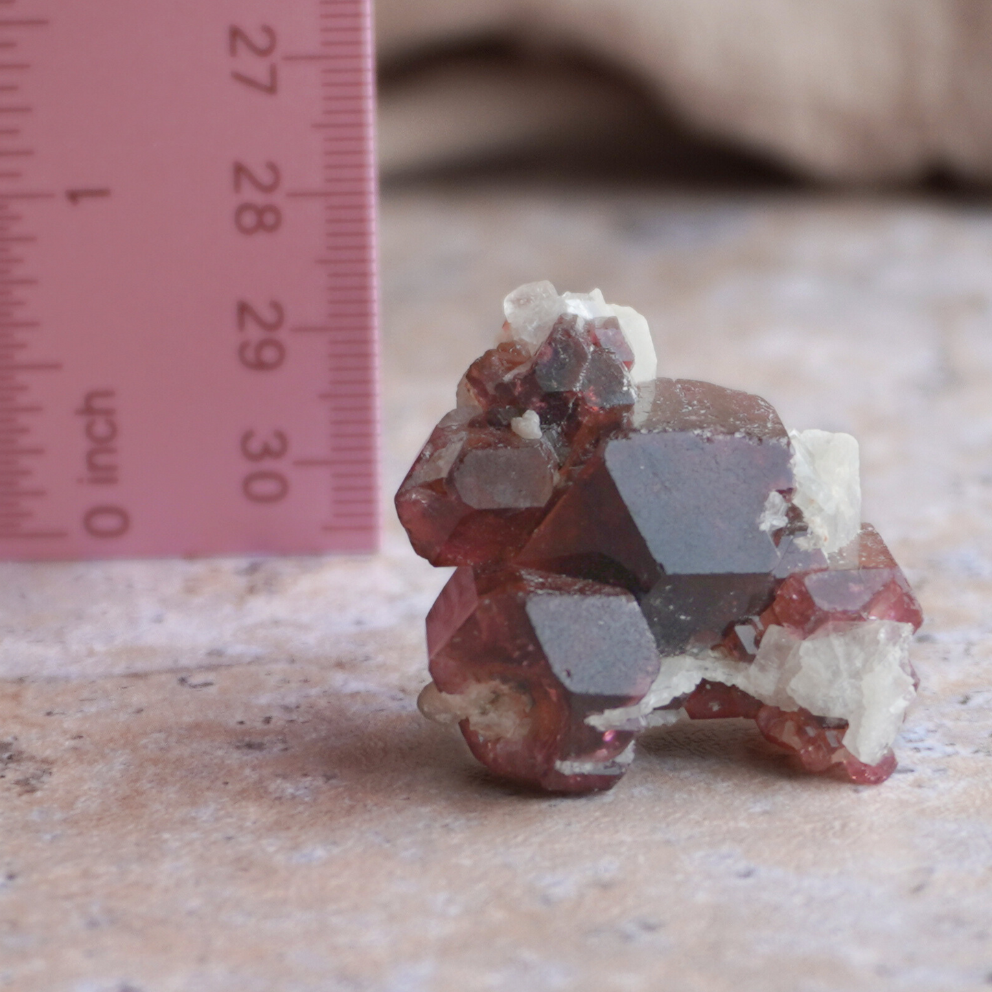 Liddicoatite Tourmaline crystal with ruler for scale, showing its natural formation and raw energy.