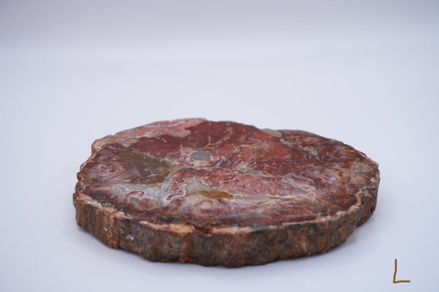 Petrified Wood: Grounding and Transformation