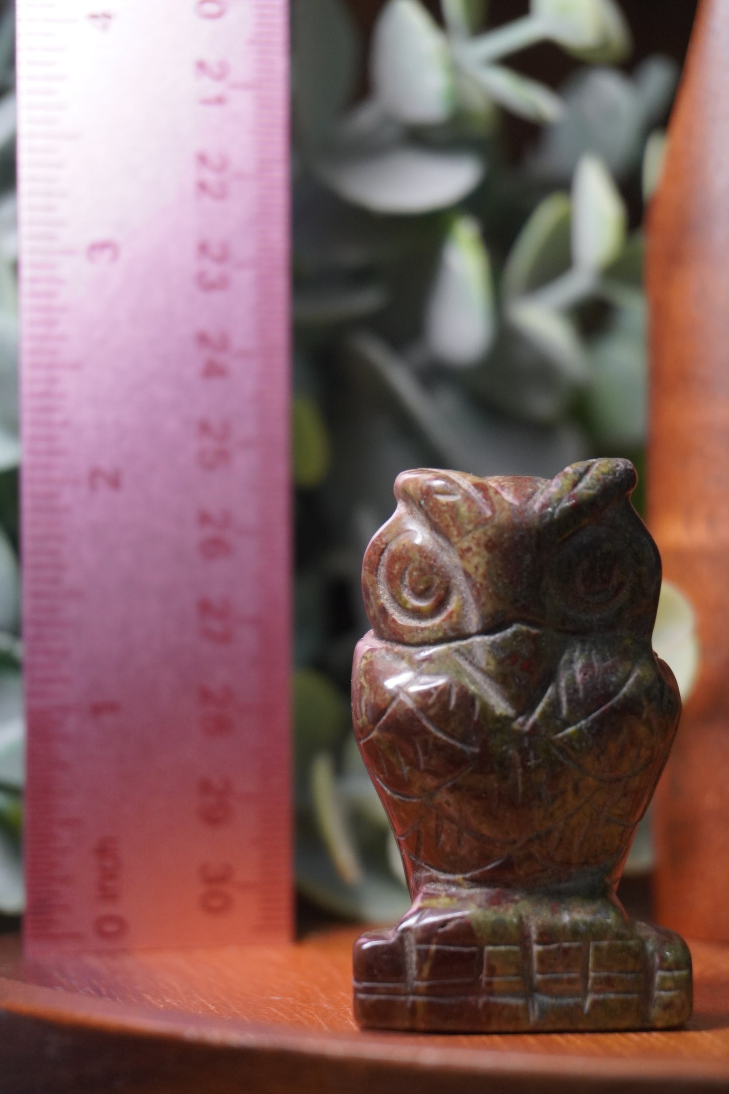 Bloodstone or Crazy Lace Agate Owl Carving: Healing, Protection, Joy, and Stability