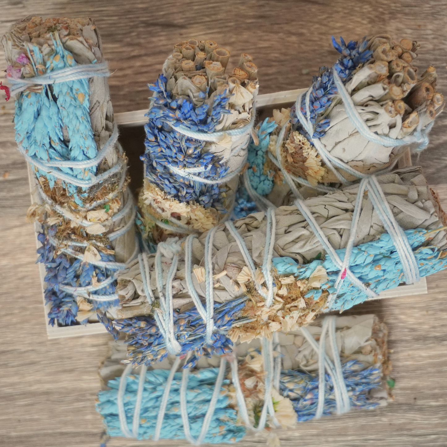 Close-up white sage and sinuata flower smudge sticks, symbolizing purity and spiritual renewal.