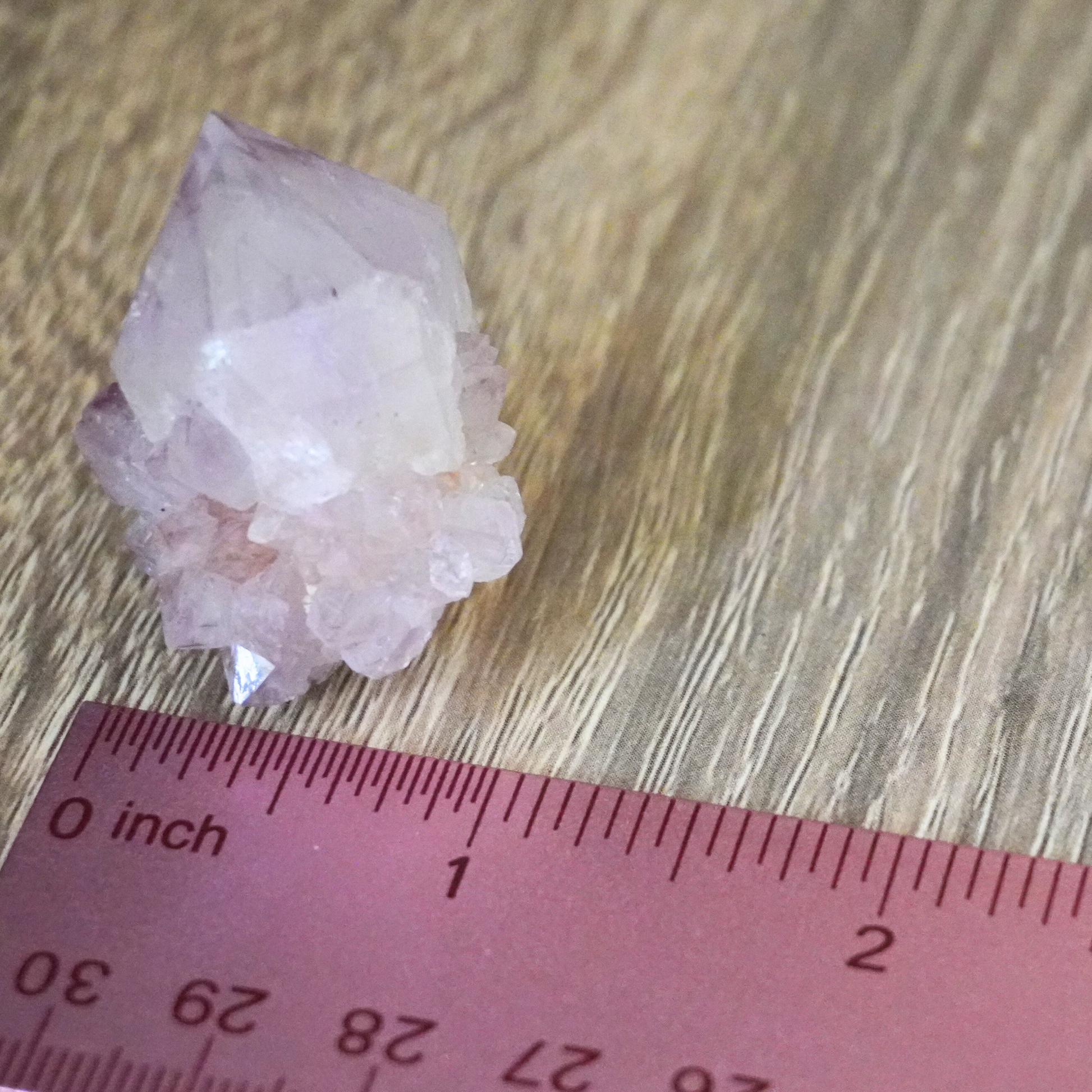 Spirit Cactus Quartz crystal being measured with a ruler while sitting upright on a dark wood background with a light wood base.