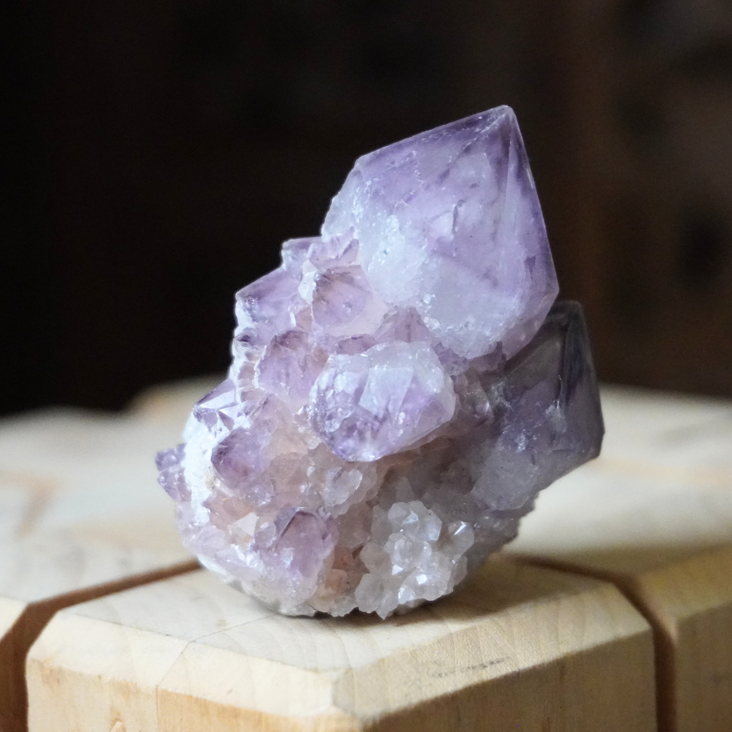 Spirit Cactus Quartz crystal sitting upright on a dark wood background with a light wood base, highlighting its natural beauty.