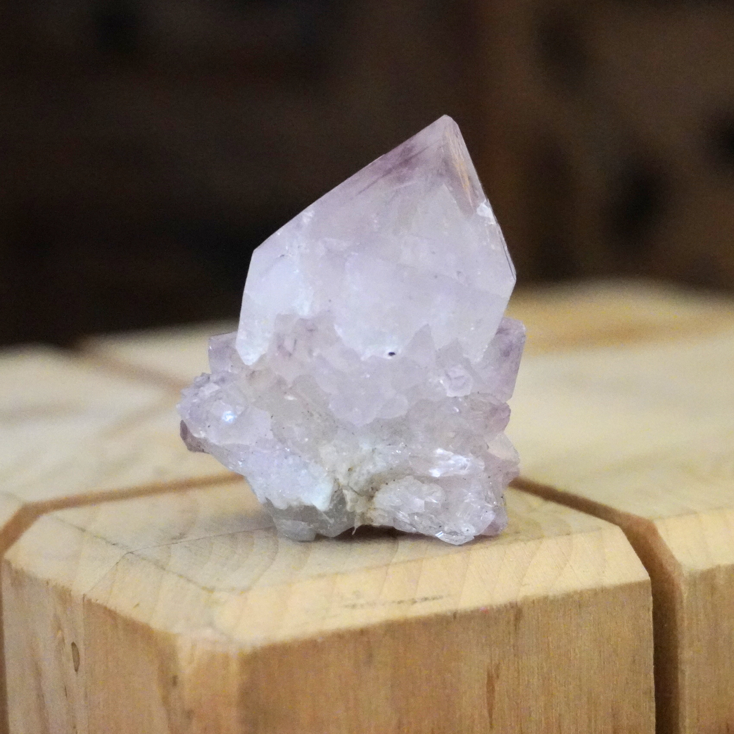 side view of Spirit Cactus Quartz crystal standing upright on a dark wood background with a light wood base.