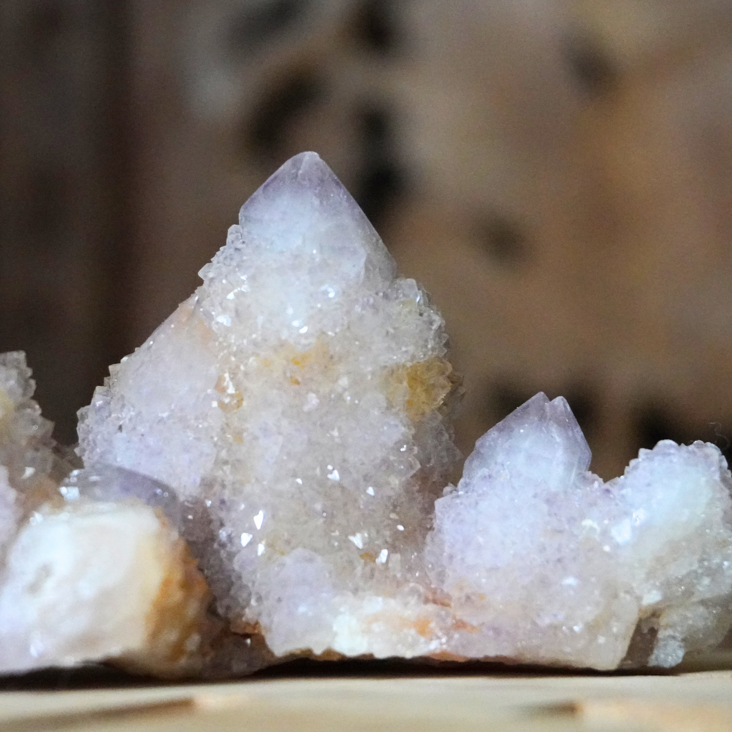 Spirit Cactus Quartz crystal upright on a dark wood background with a light wood base, emphasizing its unique formations.