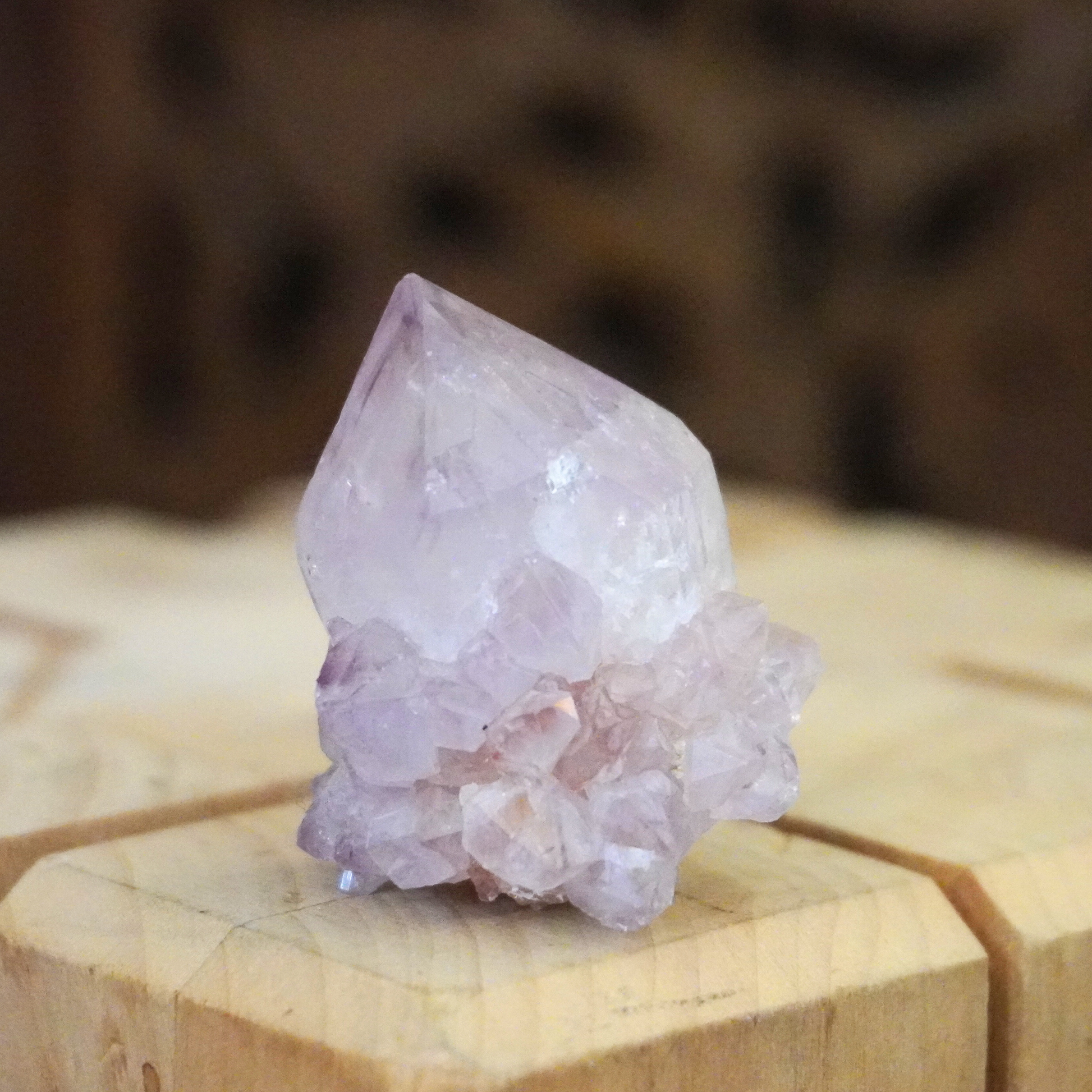 Spirit Cactus Quartz crystal upright on a dark wood background with a light wood base, emphasizing its unique formations.