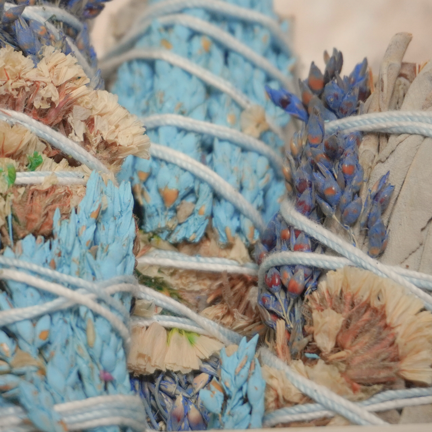 Vivid detail of sinuata flowers wrapped around California white sage bundles, ideal for smudging, meditation, and energy work.