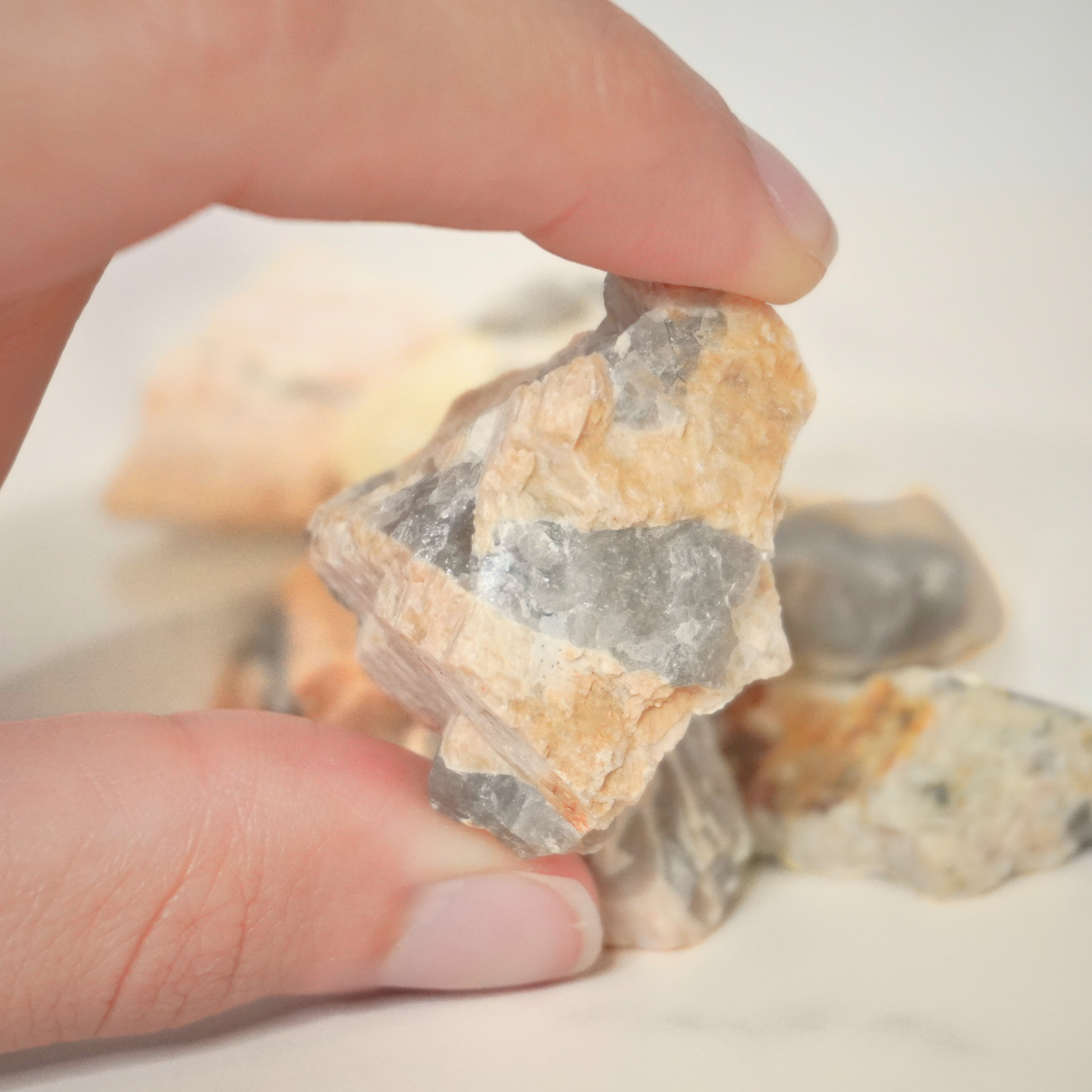 Close-up of a raw Zebradorite piece being held, showcasing the stone's texture.