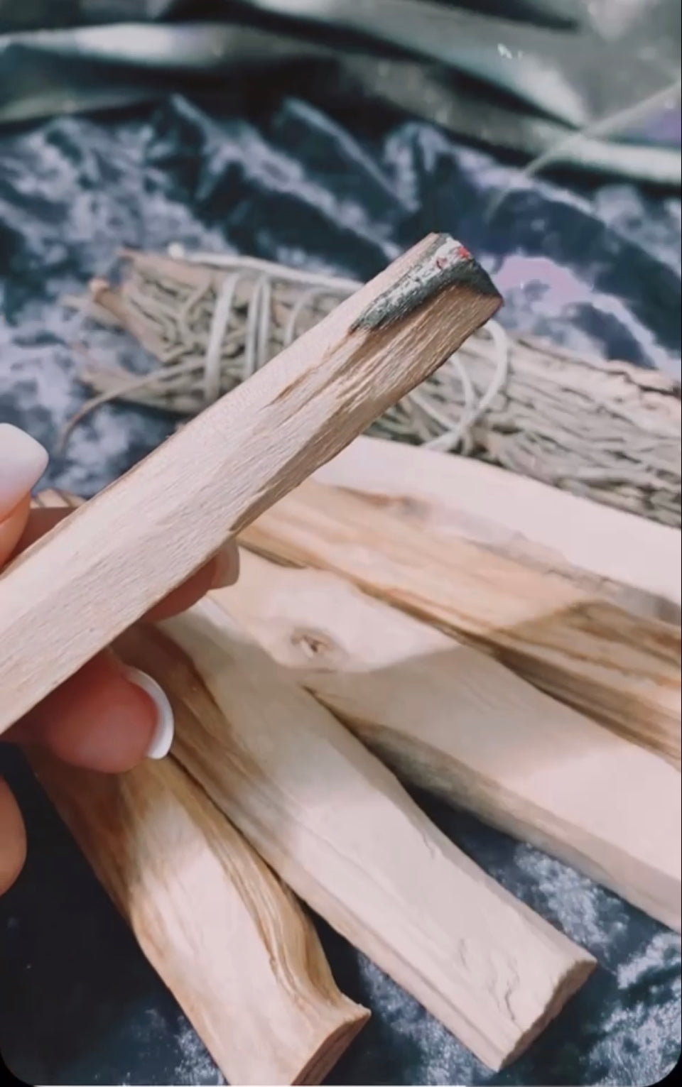 Palo Santo